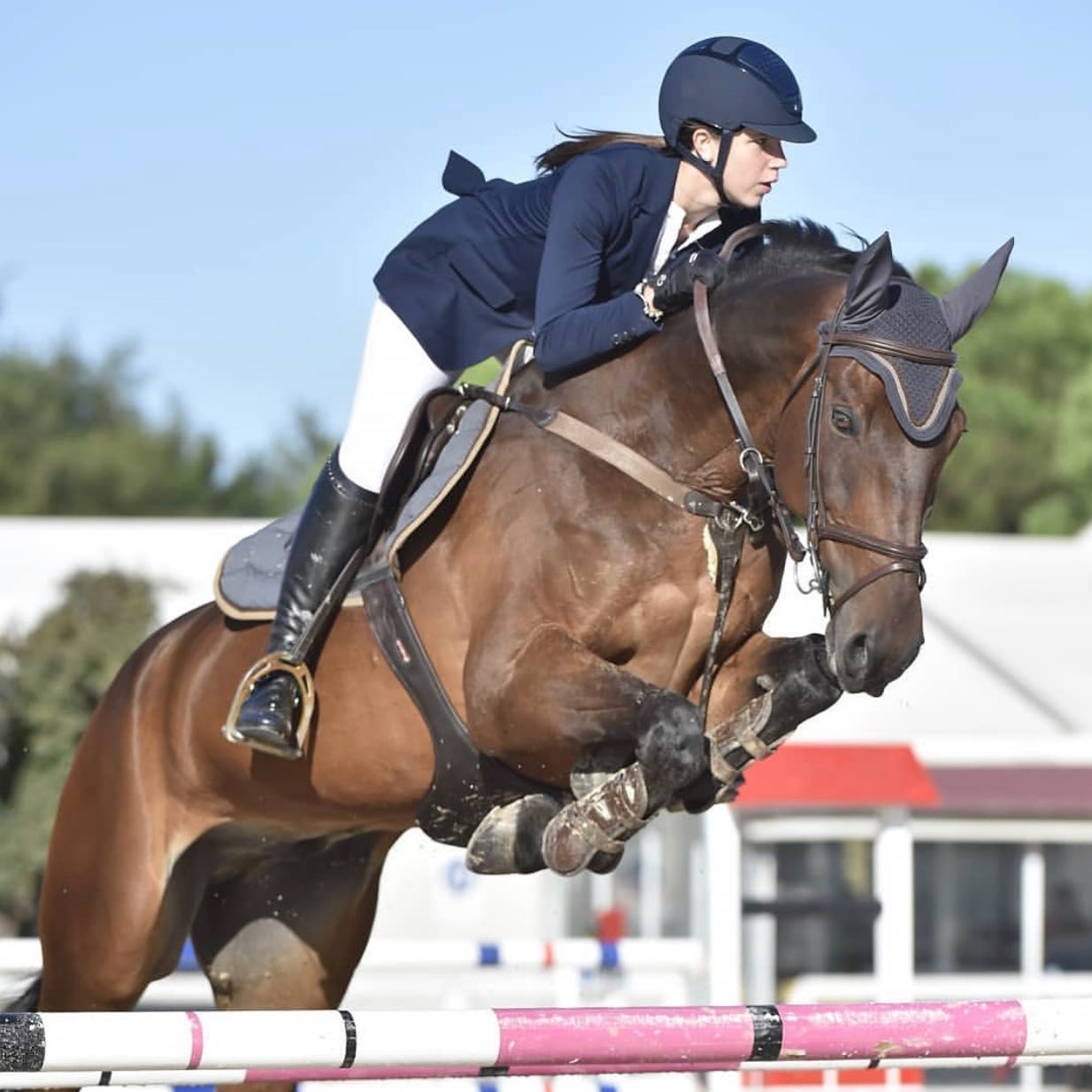 Alcie Sisto - Fantino